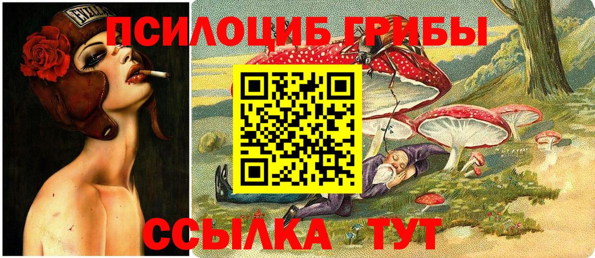 Псилоцибиновые грибы GOLDEN TEACHER Норильск