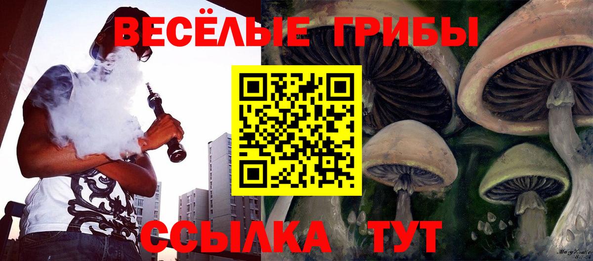 Норильск  Галлюциногенные грибы мухоморы  Вход с VPN 